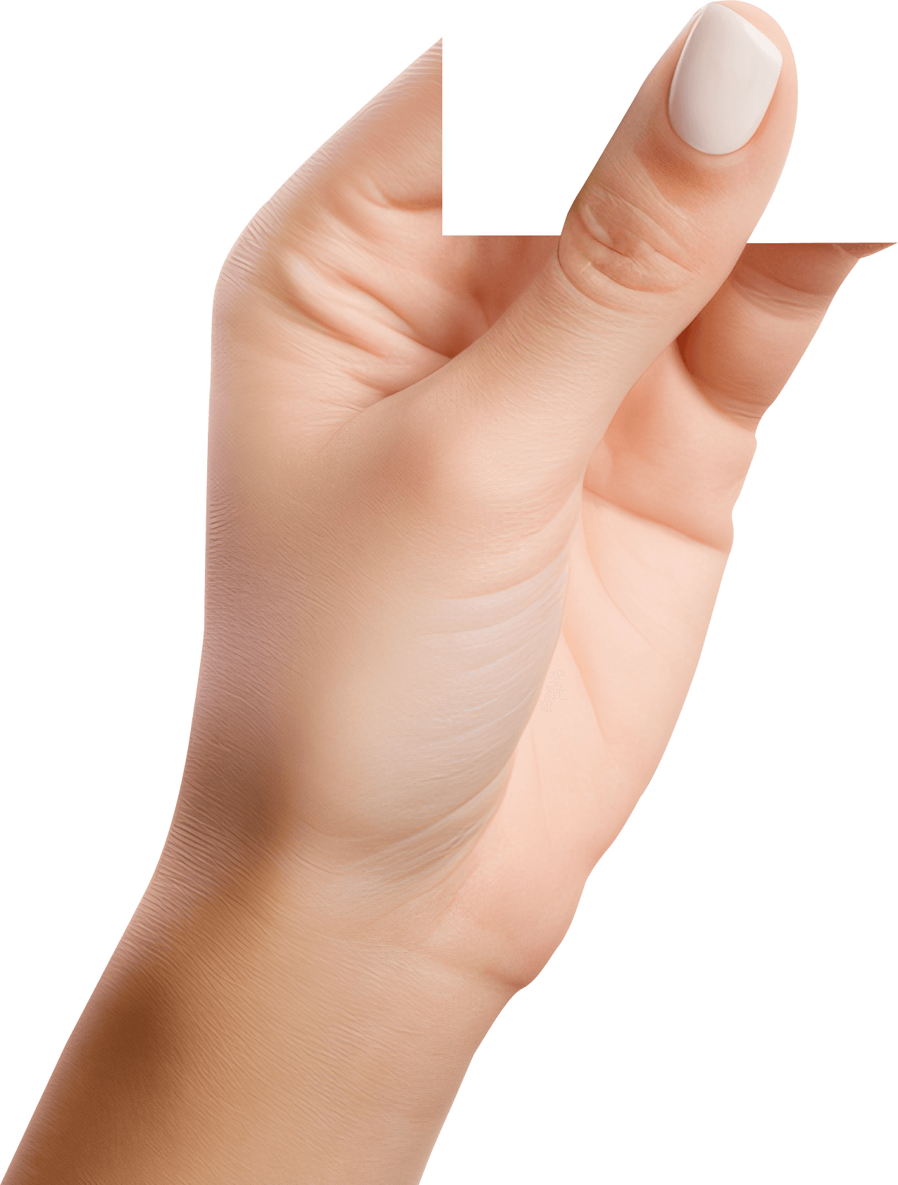 Hand