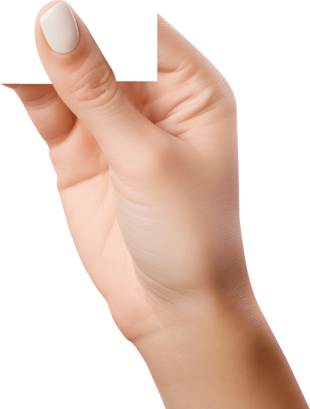 Hand